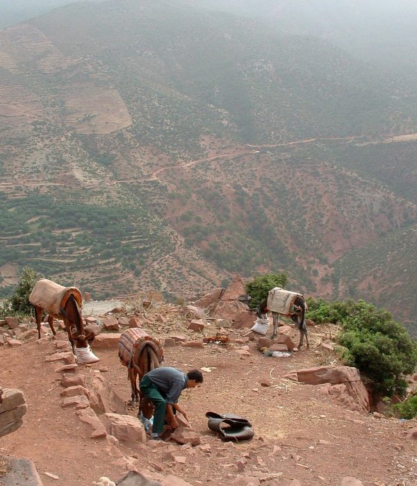 berber-and-his-donkeys-1386728-1920x1440