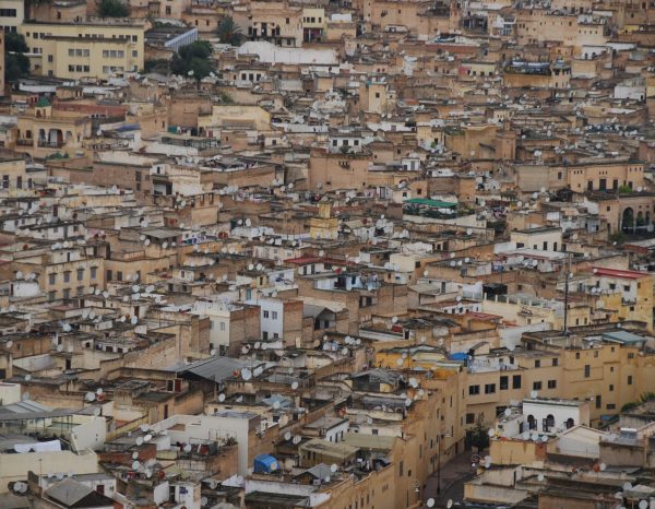 pexels-laura-the-explaura-9726775